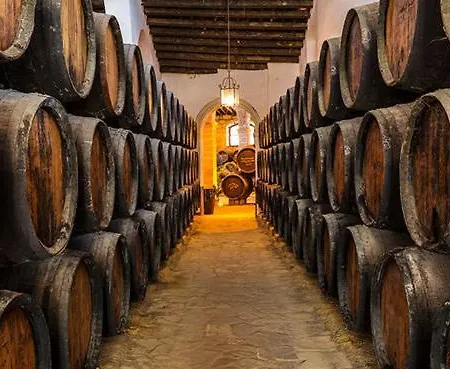 Sunset Victoria Cadiz