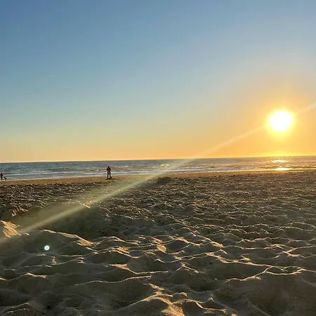 Sunset Victoria *